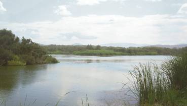 La reserve humide de Béni Belaïd