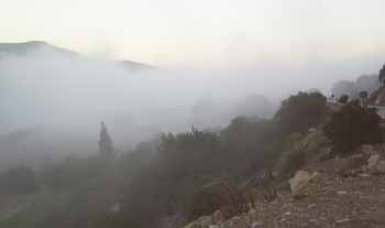 brouillard_elancer2