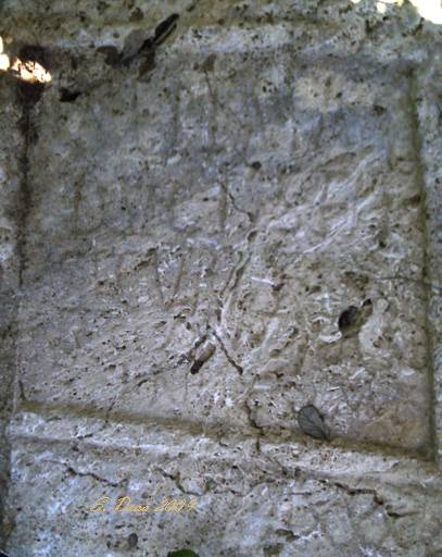 Stèle épigraphique Bida